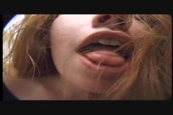 'Latin Fever 7' screenshot nº 103