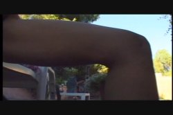 'Latin Fever 7' screenshot nº 121