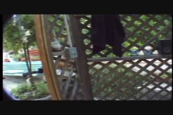 'Latin Fever 7' screenshot nº 138