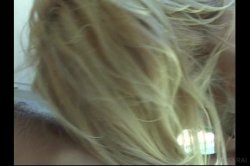 Captura de 'On the Prowl 3' nº 14