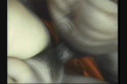 'Rodney's Rookies' screenshot nº 96