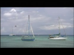 'Sexual Revenge In The Tropics (French)' screenshot nº 48