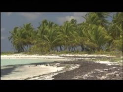 'Sexual Revenge In The Tropics (French)' screenshot nº 71
