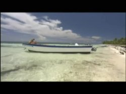 'Sexual Revenge In The Tropics (French)' screenshot nº 106