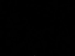 'Peepshow Loops 14: 1970's (Color)' screenshot nº 102
