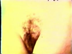 'Peepshow Loops 14: 1970's (Color)' screenshot nº 117