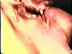 'Peepshow Loops 14: 1970's (Color)' screenshot nº 130
