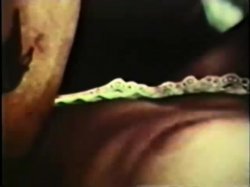 'Peepshow Loops 14: 1970's (Color)' screenshot nº 14