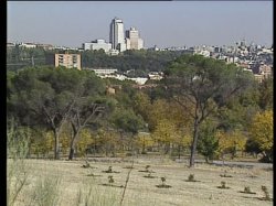 'Showgirls en Madrid' screenshot nº 140