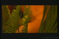 'Hot Cherry Pies 2' screenshot nº 44