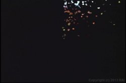 'Hot Cherry Pies 2' screenshot nº 72