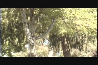 Freshman Fantasies 23 - Escena4 - 1