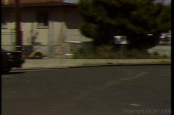 'Furburgers' screenshot nº 78