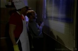 'Furburgers' screenshot nº 121