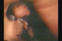 'Busty Classics' screenshot nº 56