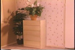 Captura de 'Christy Canyon: The Lost Footage' nº 129