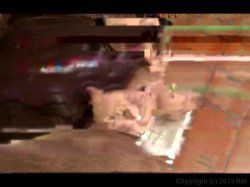 'Swallow This #14' screenshot nº 12