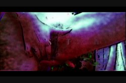 Captura de 'Hairy Honies 46' nº 2