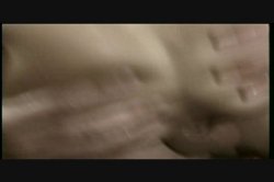 Captura de 'Latin Satin' nº 125