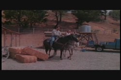 Captura de 'Riding Lessons' nº 32