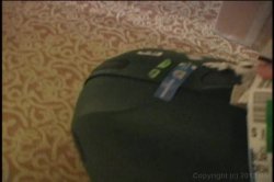 'We Swallow 4' screenshot nº 51