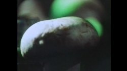 'Dark Dreams' screenshot nº 5