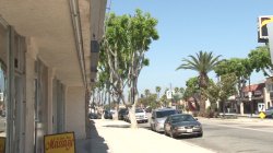 Captura de 'Asian Strip Mall Massage 2' nº 77