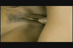 Captura de 'Dr. Lenny's Favorite Anal Scenes' nº 16