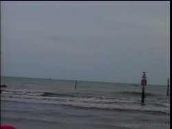 'South Beach Beauties' screenshot nº 32