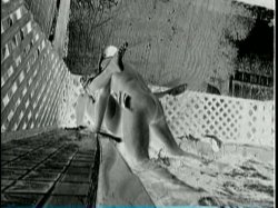 'Dirty Blackfuckers' screenshot nº 5