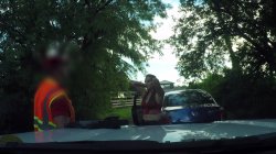 'Roadside XXX' screenshot nº 54