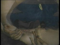 Captura de 'Lesbian Pussy Power' nº 67