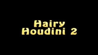 Hairy Houdini 2 - Escena1 - 1