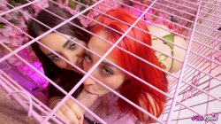 'Pink Room Ep. 33 Horny Latina Sluts Zoey & Jessica Love Cock' screenshot nº 34