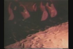 Captura de 'Only The Best 2' nº 47