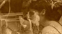 'Pussy Lust 11' screenshot nº 65