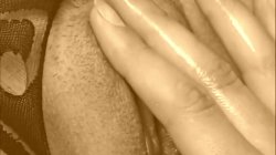 'Pussy Lust 11' screenshot nº 68