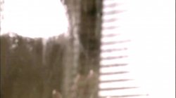 'Pussy Lust 11' screenshot nº 106