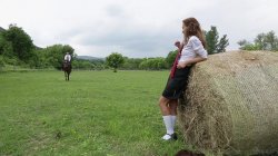 'Young Horse Riders' screenshot nº 30
