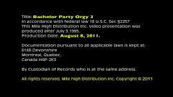 Captura de 'Bachelor Party Orgy 3' nº 4