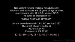 'Miami Phat Ass Retreat' screenshot nº 140