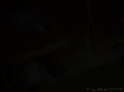 'Let Off In Me' screenshot nº 3