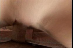Captura de 'POV Casting Couch All Stars Vol. 3' nº 86
