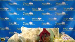 'Vegas Casting Couch Volume 3' screenshot nº 115