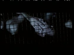 Captura de 'Fetish Freaks - It's Time To Get Kinky' nº 132