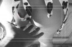 Captura de 'Hot Latinas Take On All Cummers' nº 109