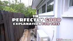 Captura de 'A Perfectly Good Explanation For This' nº 2