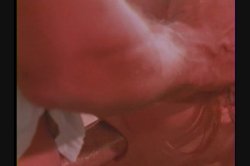 'Testy, Testy, Testi' screenshot nº 68