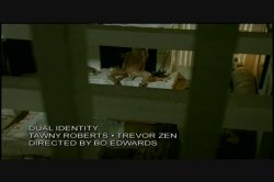 'Vivid Superstars - Tawny' screenshot nº 1