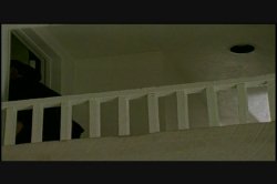 'Vivid Superstars - Tawny' screenshot nº 14